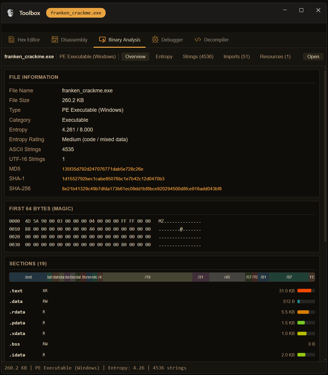 RE Agent Binary Analysis