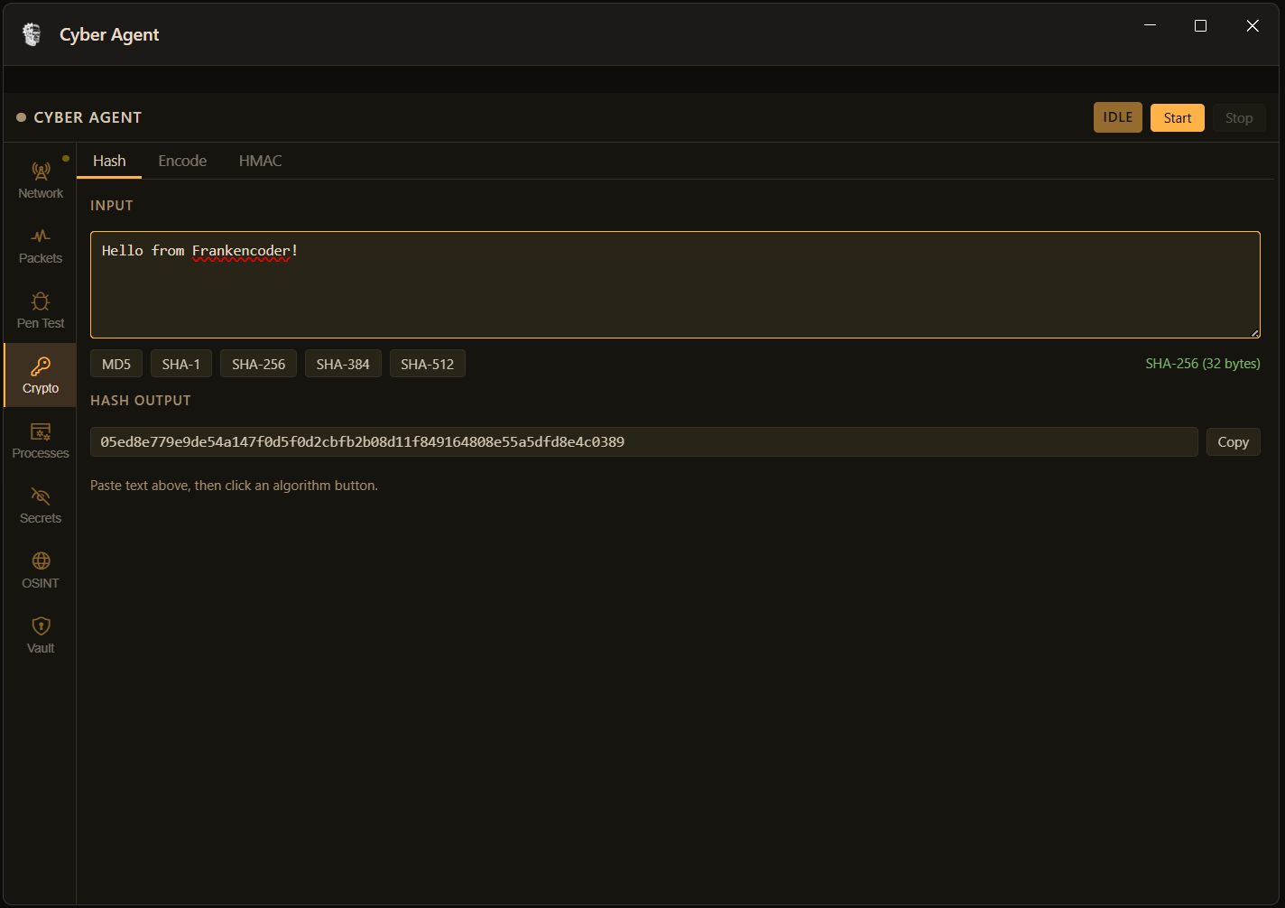 FrankenCoder Crypto hash tab showing SHA-256 output for a test string with algorithm selector buttons for MD5 SHA-1 SHA-256 SHA-384 and SHA-512